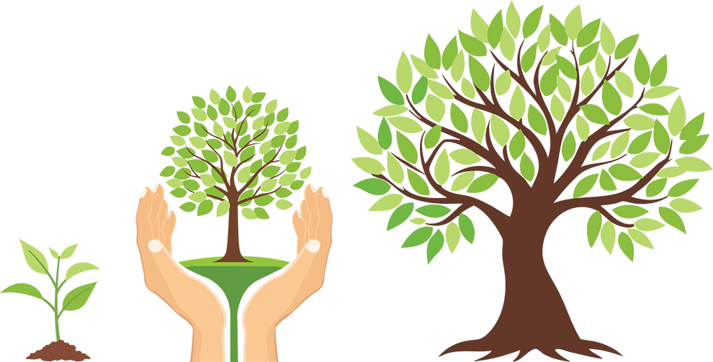 occlusive-guidance-2